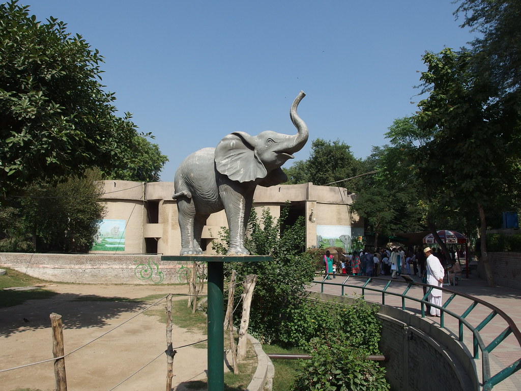 Lahore Zoo | Guilhem Vellut | Best Places to Visit in Lahore 