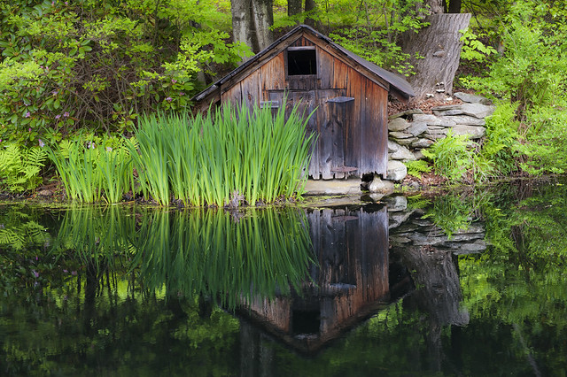 Picturesque shed and tall grass on a pond in Vermont, USA