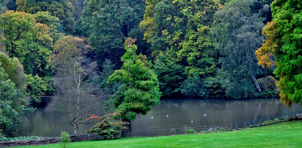 Kenwood's Pond and Woodlands, Hampstead, London