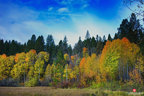 autumn nature leaves oregon centraloregon landscape outdoors northwest bend fallcolors sony scenic fullframe aspen fx deschutesriver bigeddy a7r sonya7r sonyilce7r zeissfe35mmf28za