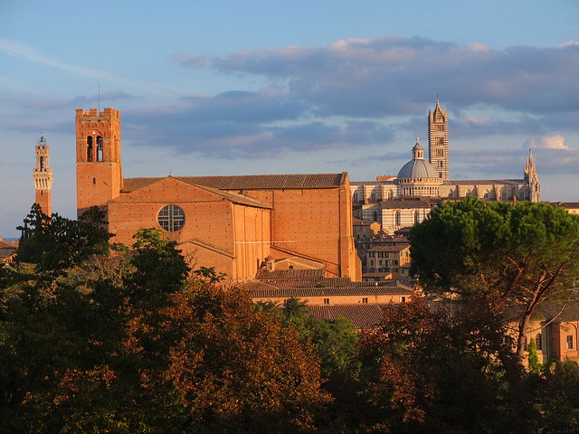 Basilica and Duomo, from the Fortress of the Medici