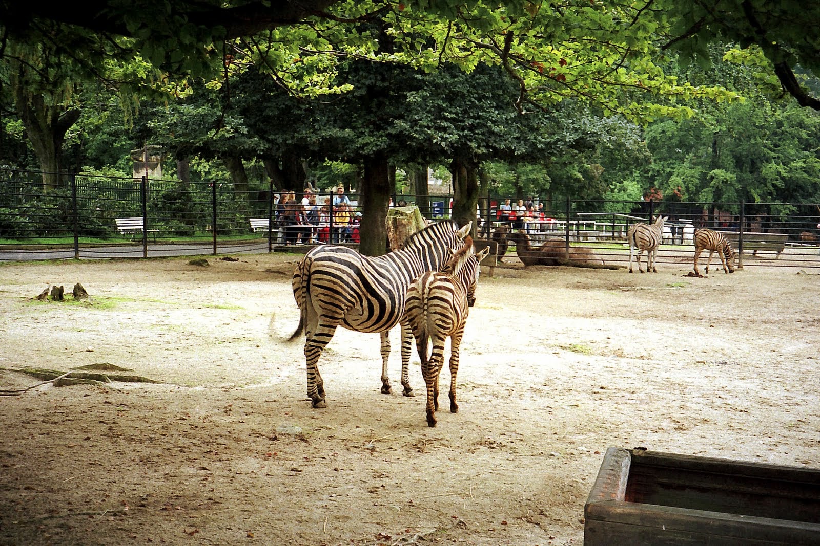 Flickr Raj Český ráj | Flickr