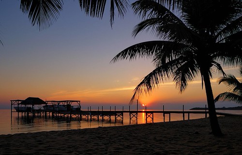 Hamanasi Resort