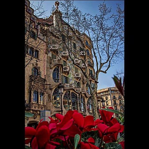 #casabatllo #gaudi #barcelona 2017 #flowers in Gaudí #art #architecture #nature #ig #ig_barcelona #barcelonacity #barcelona_world #españa #catalunya #spain #spain #barcelonagram #europe #europe_gallery #europe