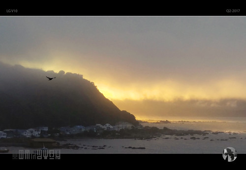 morning sunrise mist fog coast bird seagull gul dancinggull tomraven aravenimage q22017 lg v10