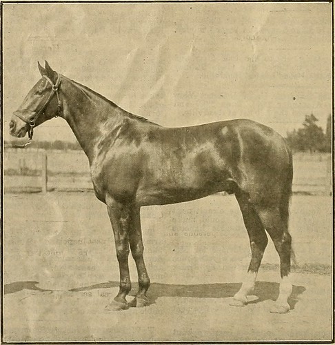 Image from page 185 of "Breeder and sportsman" (1882)
