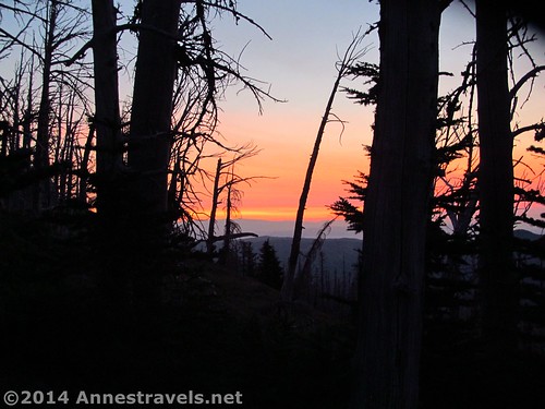 Sunrise at the Cloud Cap Campground, Mount Hood National Forest, Oregon