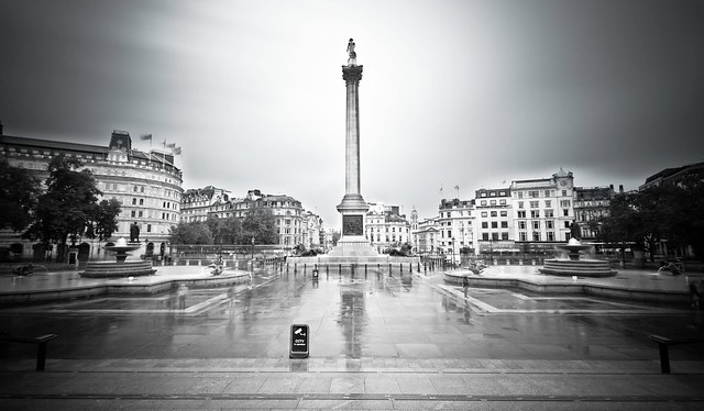 Lone Nelson - Trafalgar Square, London