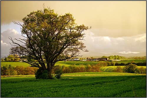 landscape cumbria calthwaite colink321 sonya7r ©colinkirkwood2015 sonyfe42470oss