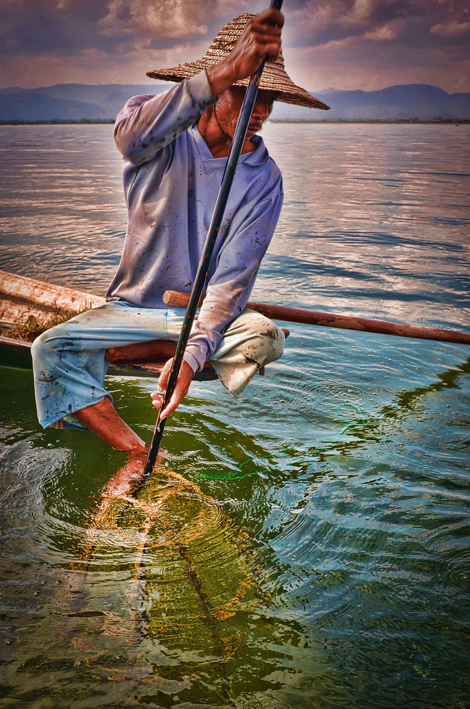 One of the world famous Inle Lake fishermen.....they have their own idiosyncratic way of fishing