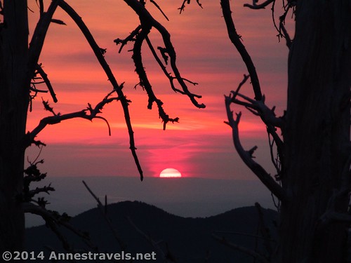 Sunrise from the Cloud Cap Inn, Mount Hood National Forest, Oregon