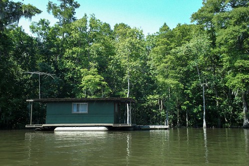 trees house boat louisiana bayou swamp wetlands cypress cajun lafourcheparish ilobsterit