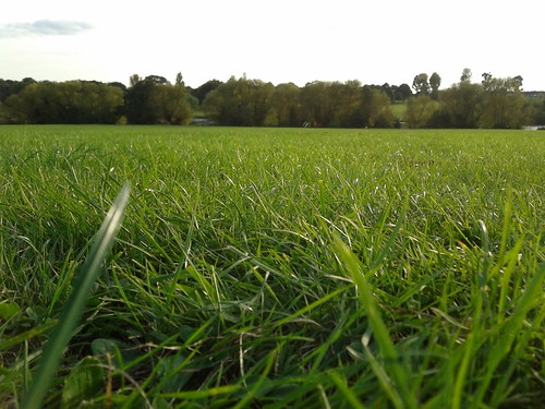Simple Landscapes | by PictureMinion