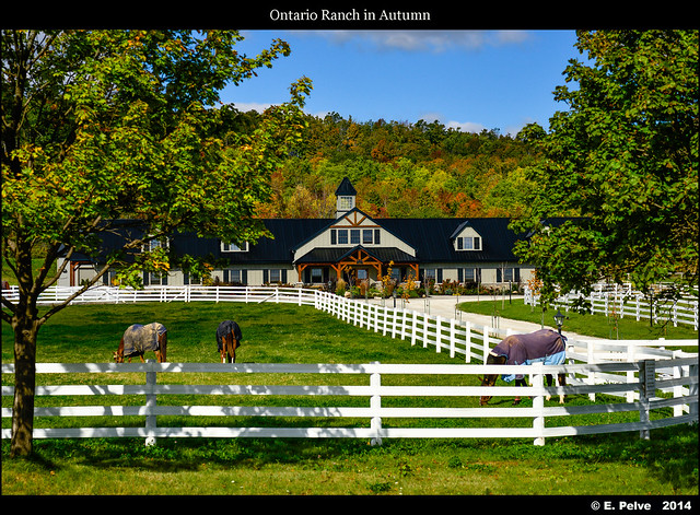 Ontario Ranch in Autumn