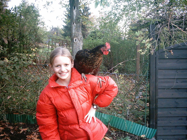 Exchange partners sister and chicken