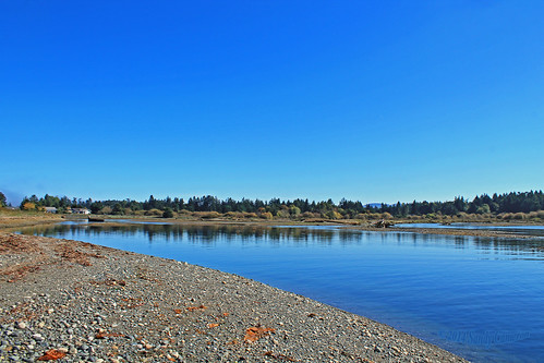 landscape waterscape scenic trees water waterfront lowtide reflection reflecting river riverbank estuary coast shore seaside sky nature parksville vancouverisland bc britishcolumbia canada