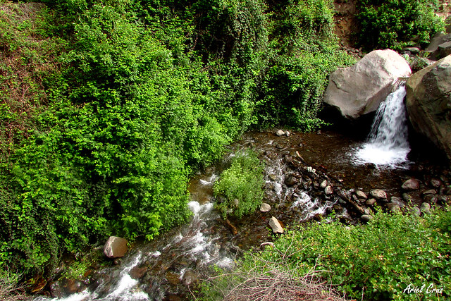 Parque Natural Aguas de Ramón - Precordillera de Santiago