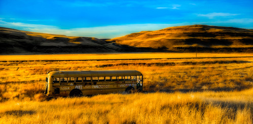Expelled by garshna, abandoned yellow ruins neglected schoolbus topaz