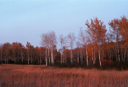 Fading Light | by blue corgi
