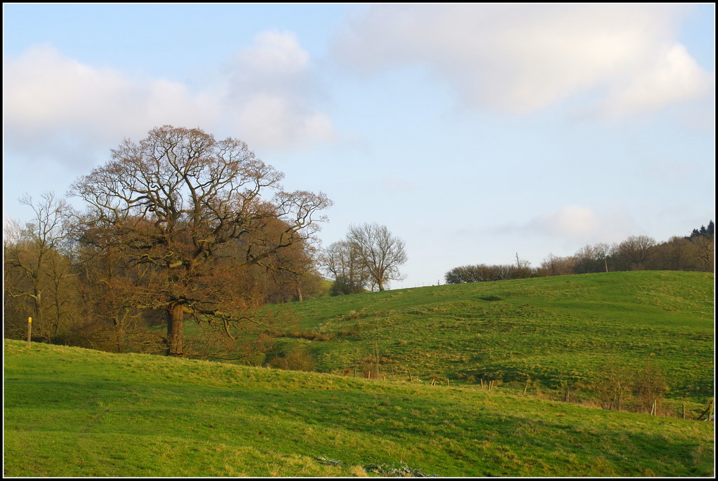 Scopwick Warwickshire Countryside | Near Lower Shuckburgh | Flickr