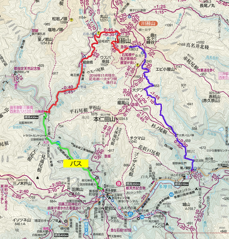 川乗山地図
