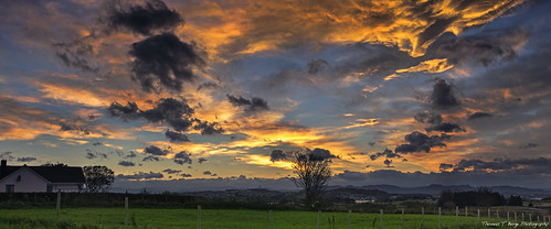 sky panorama sun storm tree green sol nature field grass weather norway clouds sunrise canon stavanger norge scenery colours view wind north perspective windy scandinavia tananger sola cloudscape rogaland soloppgang visitnorway myklebust regionstavanger
