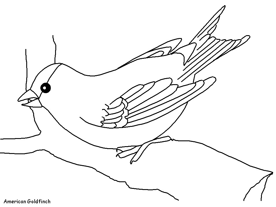 Tuyển tập tranh tô màu con chim đẹp nhất cho bé yêu  Tranh Tô Màu cho bé