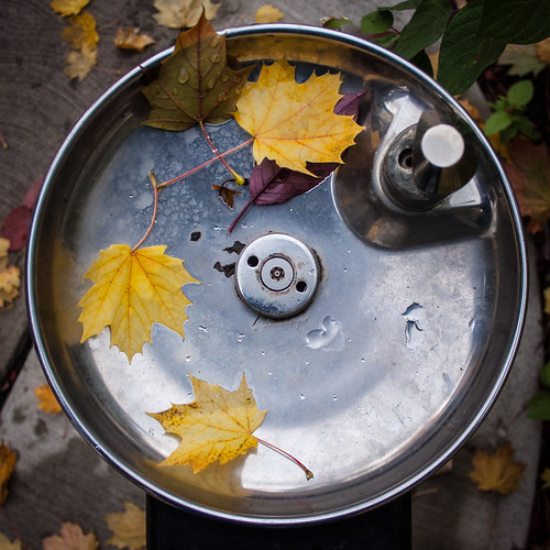 Fall Fountain | by Jay:Dee