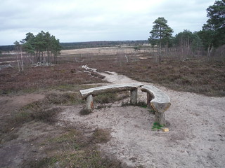 Angled Bench at Viewpoint on Shrike Hill, Thursley Common SWC Walk 144 Haslemere to Farnham - Thursley Common Extension