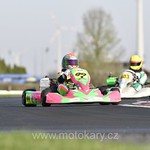 _JK53588