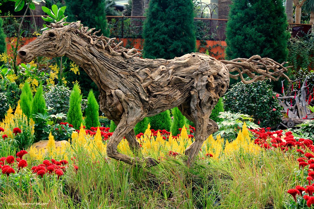 James Doran-Webb's Magnificent Driftwood Horse Sculptures - Year of the Horse January 2014, Flower Dome, Gardens By The Bay, Singapore