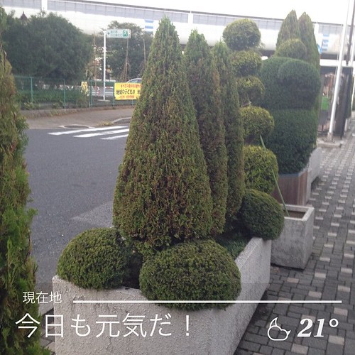 Made with @instaweatherpro Free App! #instaweather #instaweatherpro #weather #wx  #川口市 #日本 #day #autumn #sunset #jp by An American in Tokyo, square squareformat iphoneography instagramapp uploaded:by=instagram foursquare:venue=4b736581f964a5