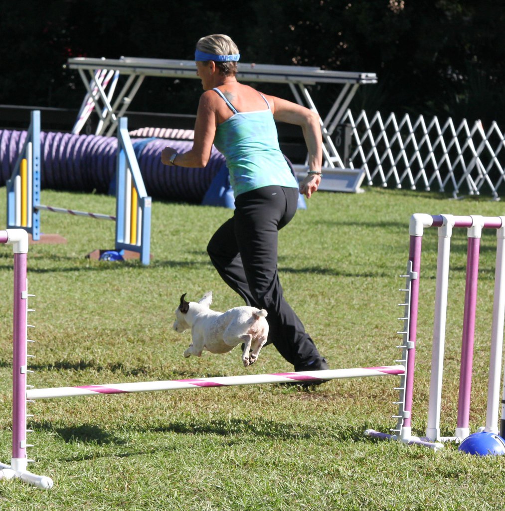 IMG_7372 | Saturday agility action with LCDA in Charleston, … | Flickr