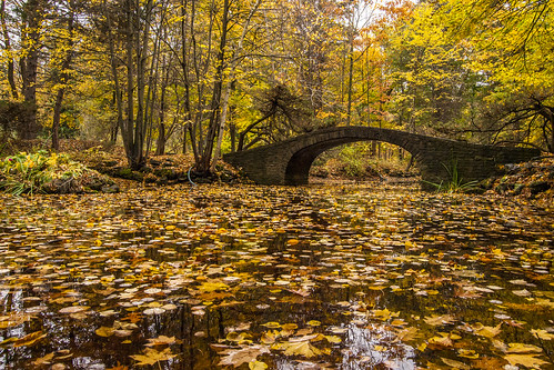 Fall at the Wilson Pond Bridge