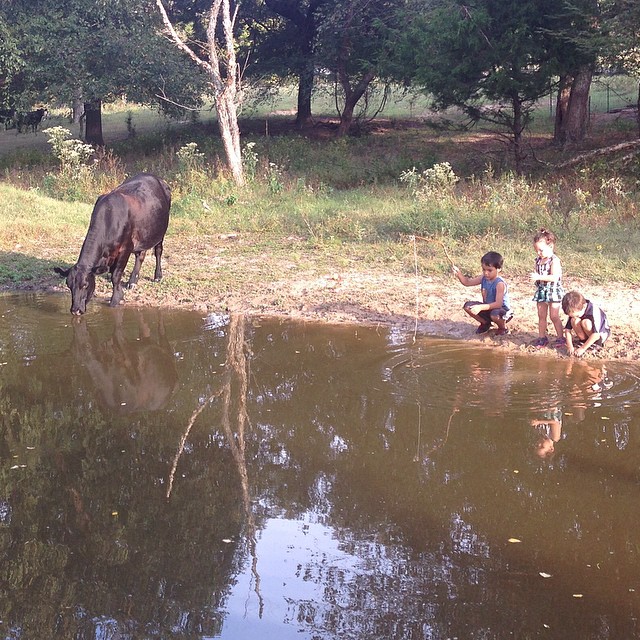 We interrupt this fishing trip to bring you a cow. #fishing #countrykids