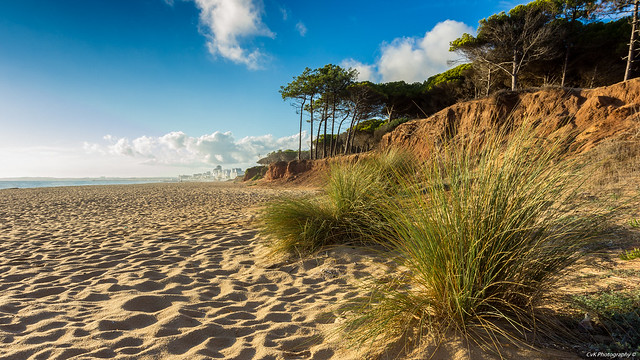 Quarteira Coast, Algarve Portugal