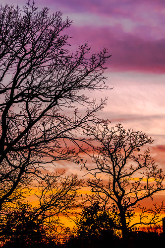 sunset sky tree nature canon landscape is oak dusk mk2 5d f4 70200mm 70200mmf4is canon5dmk2