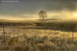 Shaking off the Fog - Weld County, Colorado