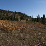 Fall colors along Boundary Creek Trail
