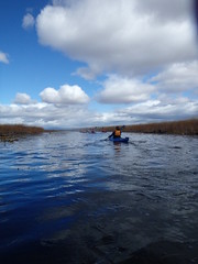 Fall Break: Sea Kayaking