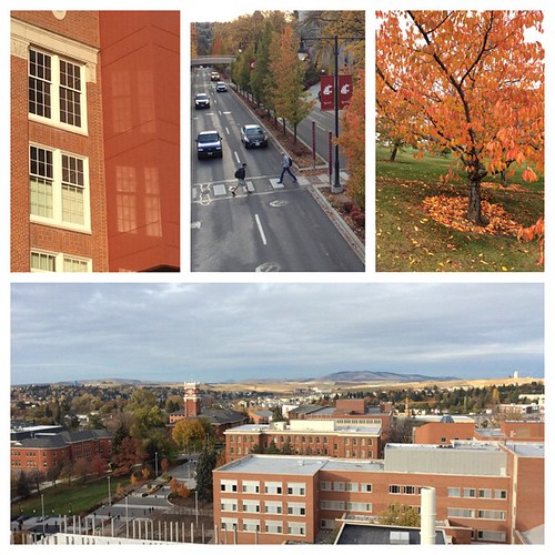 #Latergram of @wsupullman campus from Wednesday. Check out more photos at www.facebook.com/WSUPullman #wsu #gocougs