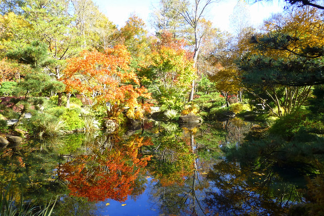 Gibbs Oct pond Japanese garden