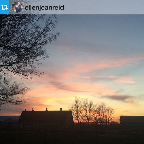 Last night's sunset view from the north end of campus. Great shot from Instagram user @ellenjeanreid.