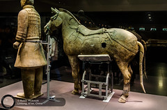 Exército de terracota