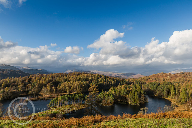 Lake District November 2014 199 - Tarn Hows
