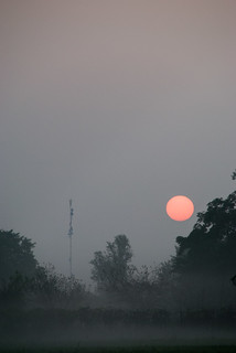 foggy sunrise.