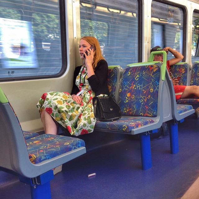 Lady in train