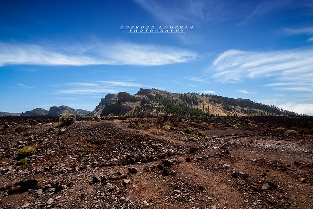 Parco Nazionale del Teide Tenerife