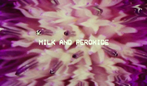 header | by milkandperoxide