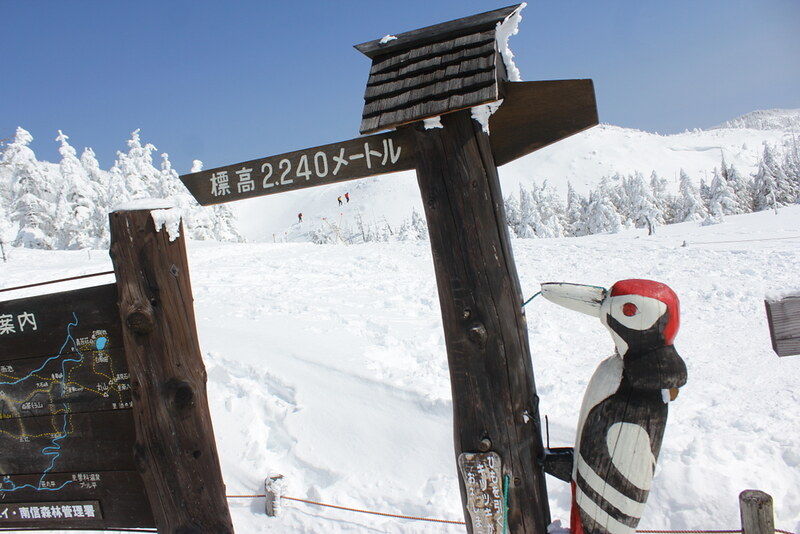 北八ヶ岳坪庭